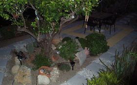 Ostria'S House